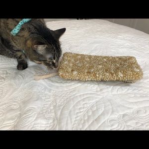 Banana Republic Beaded Clutch